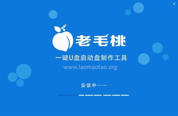 老挑毛u盘启动工具下载截图