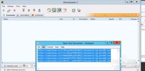 【JDownloader中文版下载】JDownloader2中文版 v2019 免费激活版插图6