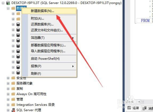 【Microsoft SQL Server激活版】Microsoft SQL Server 2019下载 官方中文版插图10