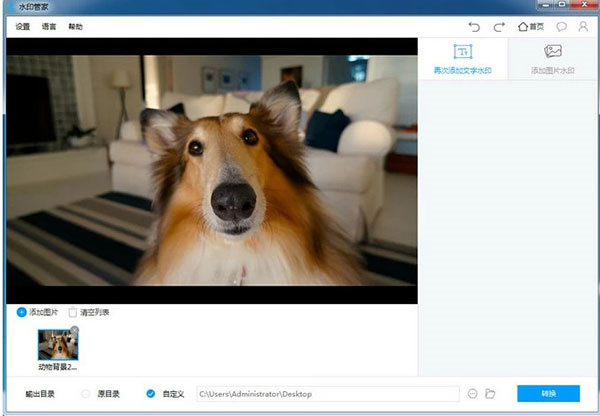水印管家免费版截图