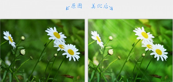 2345看图王去广告