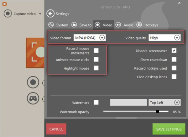 Icecream Screen Recorder录音截图3