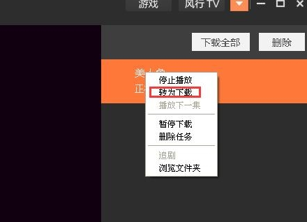 风行视频PC版