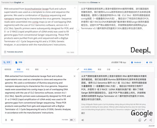 【deepl翻译免费版下载】deepl翻译器激活版 v2021 中文版插图18