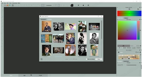 CODIJY Colorizer Pro下载