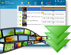 Vibosoft Video Downloader截图