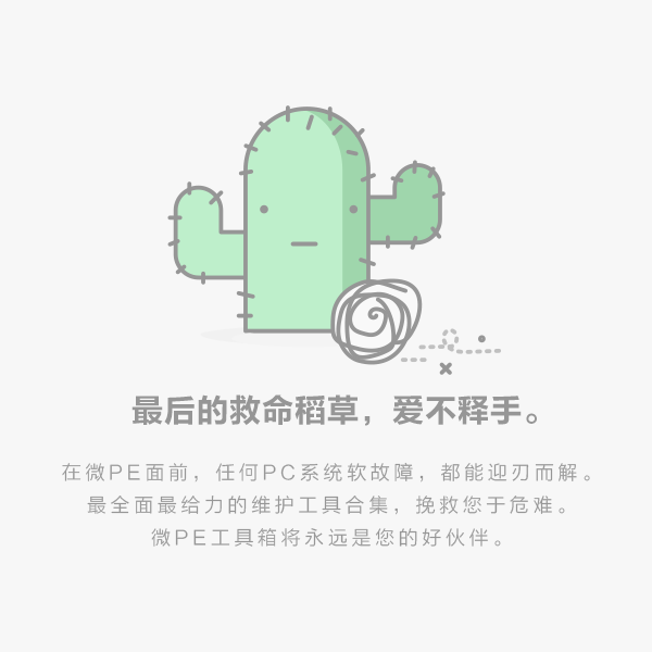 微PE工具箱官方版截图4