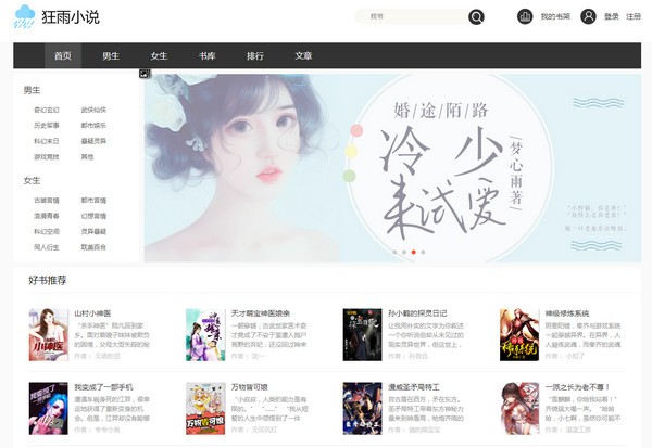 狂雨小说cms截图