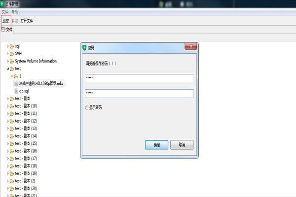 ShCrypt免费版