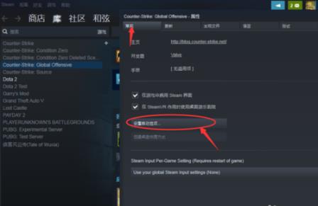 【CSGO国服启动项代码】CSGO国服启动项代码下载 官方最新版(附设置教程)插图12