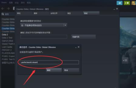 【CSGO国服启动项代码】CSGO国服启动项代码下载 官方最新版(附设置教程)插图13