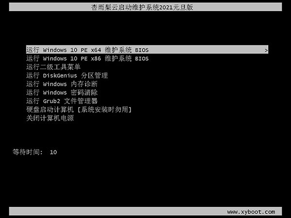 【杏雨梨云U盘系统2021下载】杏雨梨云启动维护系统2021元旦版 v2021 官方最新版插图1