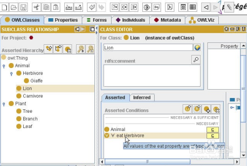 【Protege下载】Protege软件(知识图谱工具) v5.5 汉化稳定版插图2