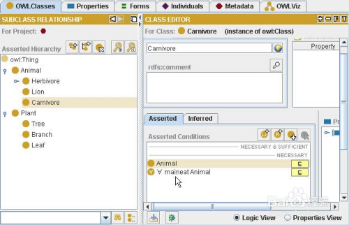 【Protege下载】Protege软件(知识图谱工具) v5.5 汉化稳定版插图4