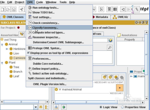 【Protege下载】Protege软件(知识图谱工具) v5.5 汉化稳定版插图7