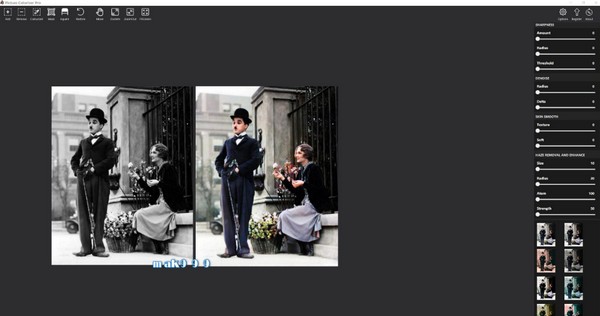 Picture Colorizer Pro免费版