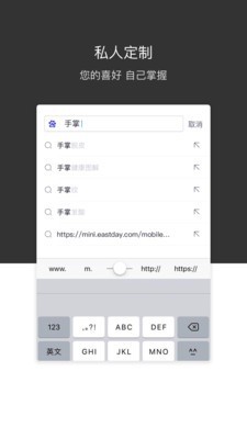 【绿叶浏览器国际版】绿叶浏览器官方下载 v6.1.2 绿色电脑版插图2