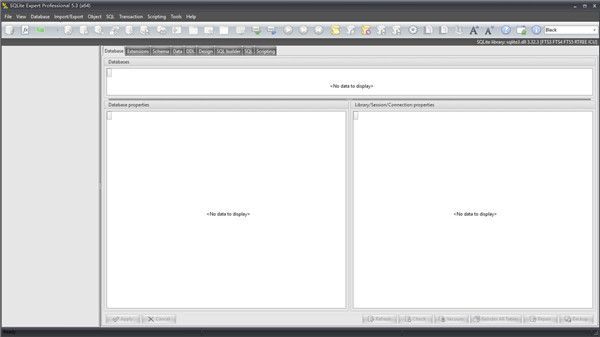 SQLite Expert Pro破解版截图